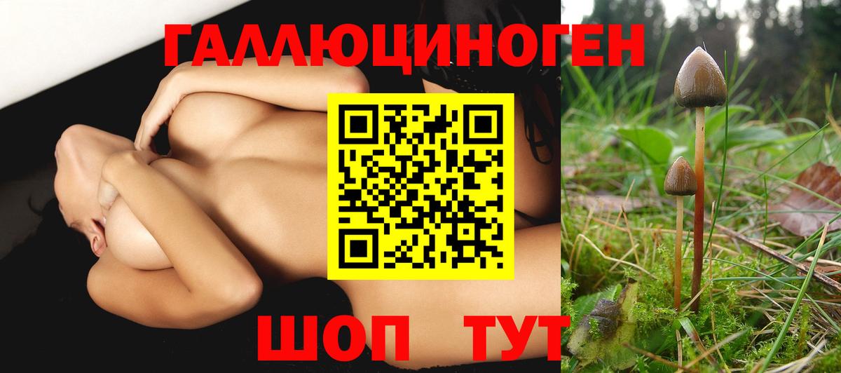 Кувандык  купить наркотики сайты  Вход с VPN  Галлюциногенные грибы мухоморы 
