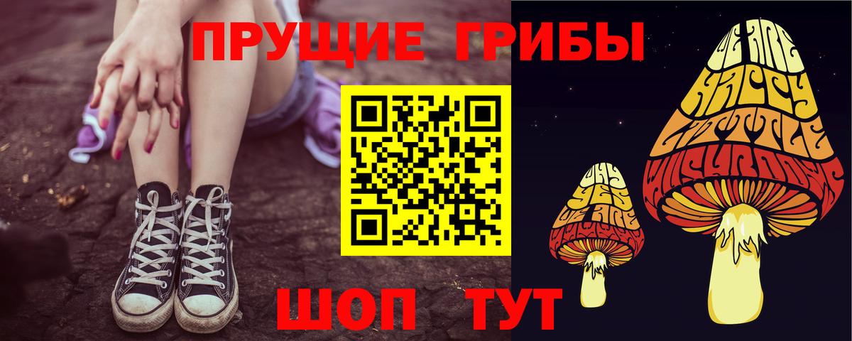 Псилоцибиновые грибы Psilocybine cubensis Кувандык